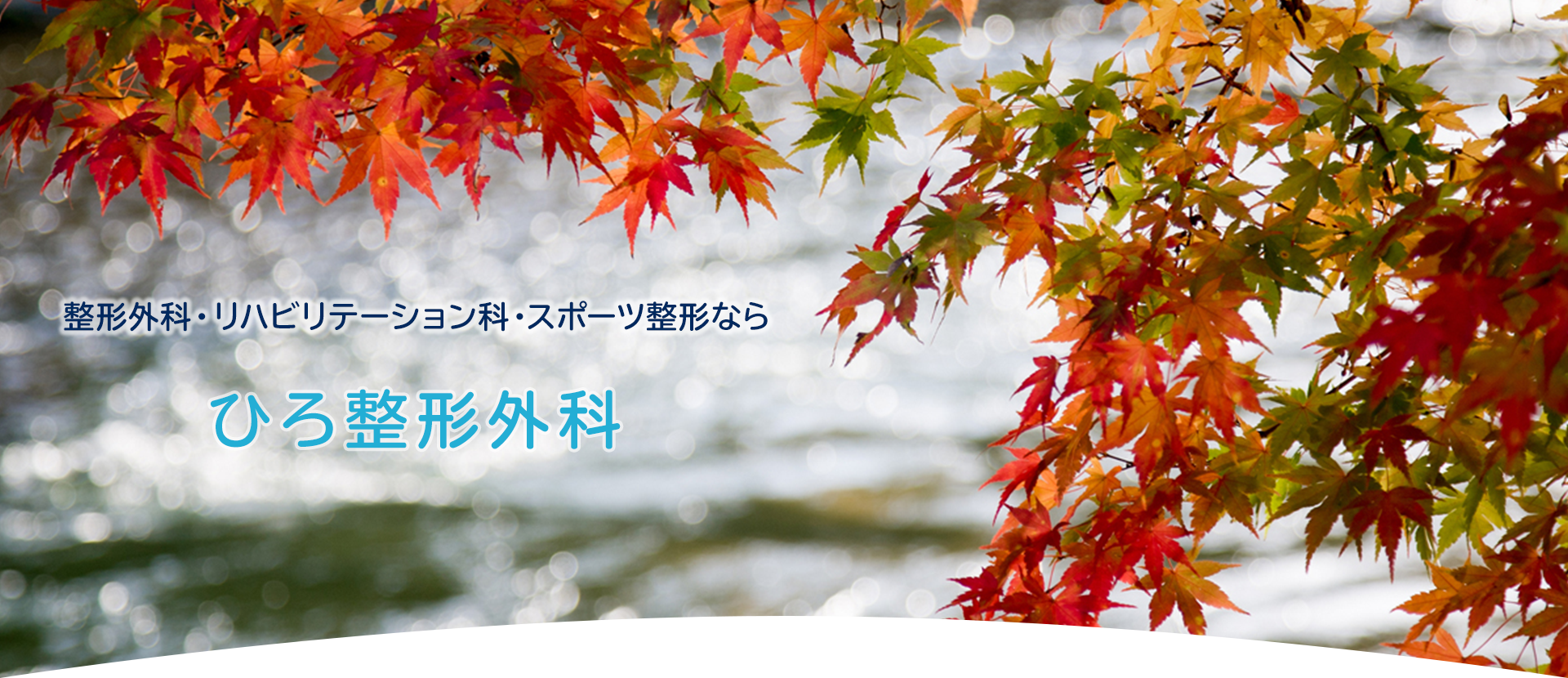 ひろ整形外科